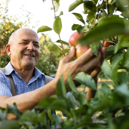 coopazur_cooperative-varoise_particuliers-et-professionnels