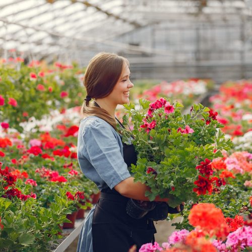 coopazur_professionnel_horticulture