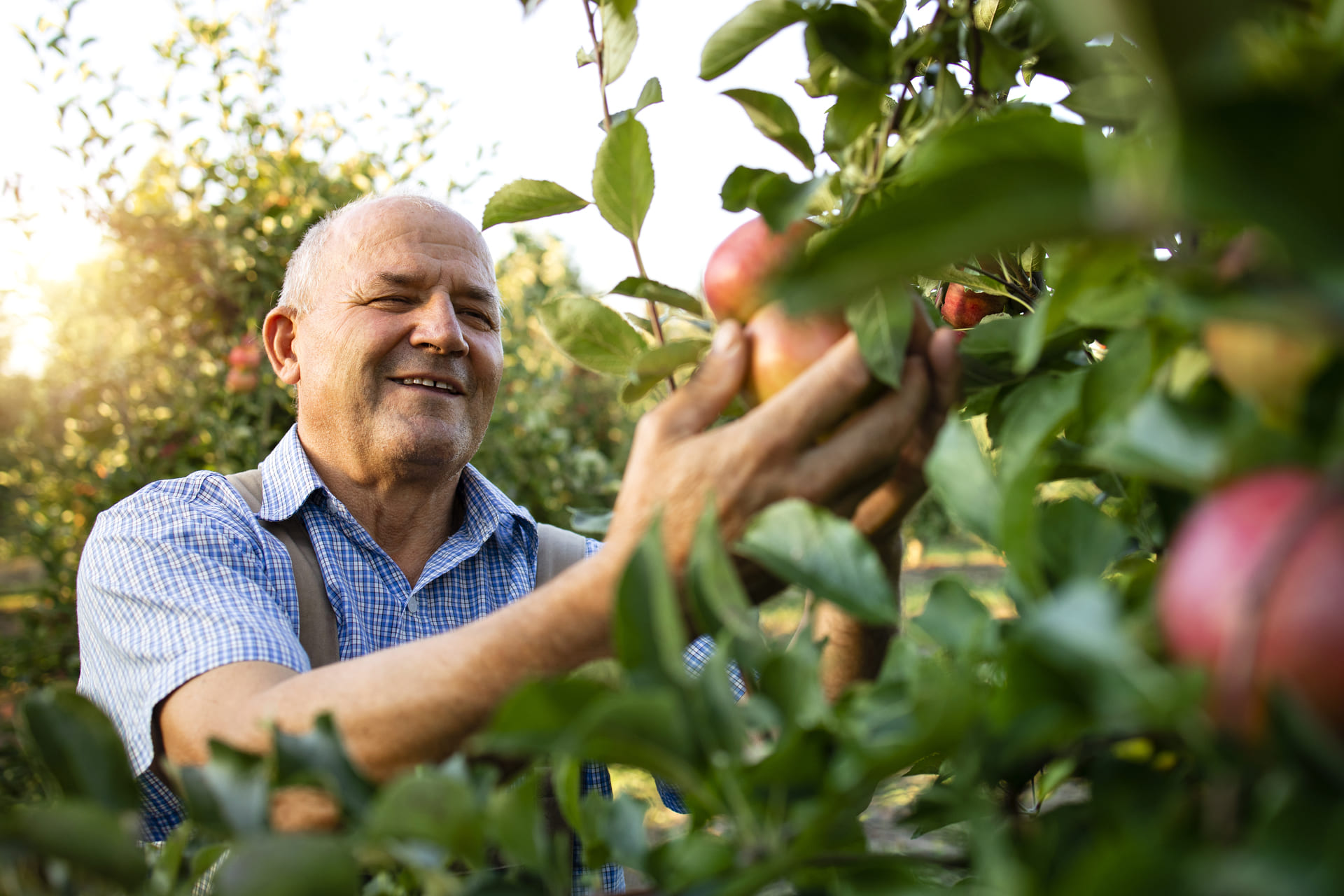 coopazur_cooperative-varoise_particuliers-et-professionnels